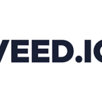 veed.io